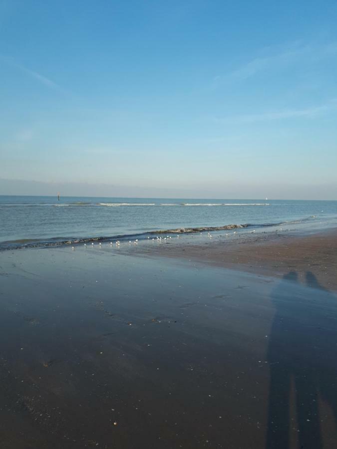 Shamrock Oostduinkerke Διαμέρισμα Εξωτερικό φωτογραφία